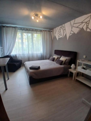 Spacious ground floor apartment Aurora